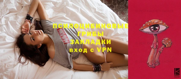 тгк Аркадак