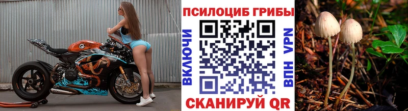 Псилоцибиновые грибы Cubensis  Купить закладки  Ярославль 